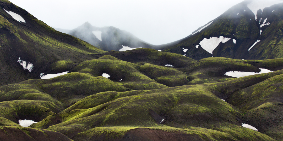 Náttúrvernd og umhverfismál
