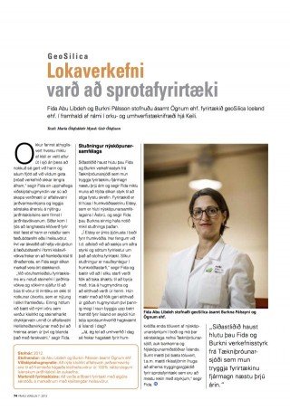 GeoSilica í Frjálsri verslun