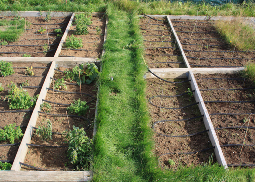 Frá ylræktargarði Keilis