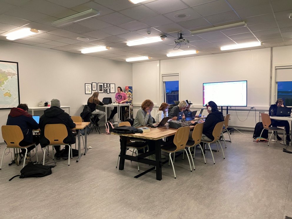 Nemendur í íslensku.