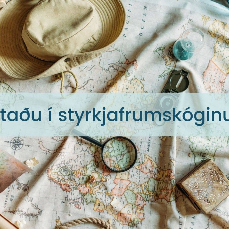 Fyrirlestur: Rataðu í styrkjafrumskóginum