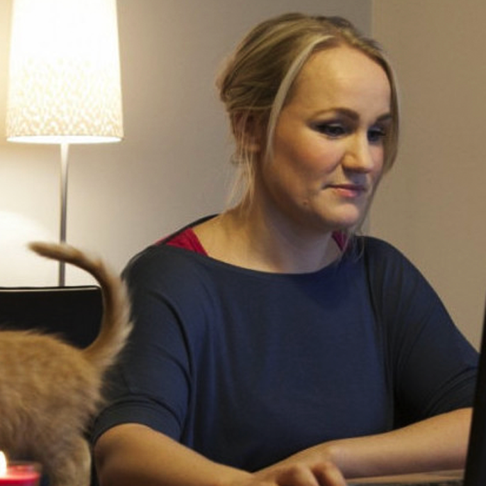 Háskólabrú með vinnu