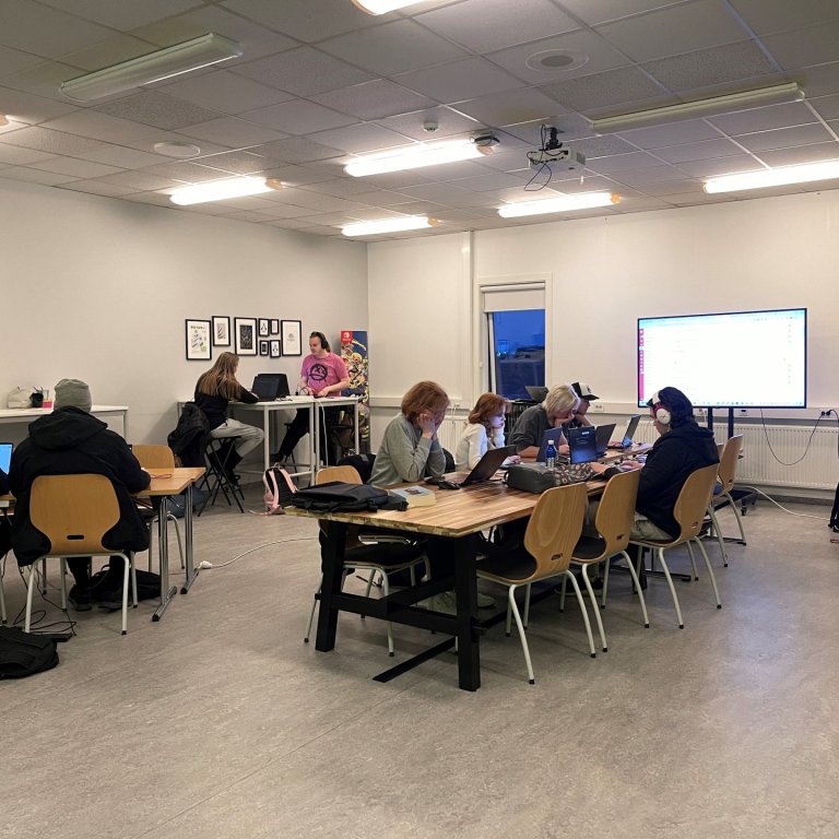 Nemendur í íslensku.